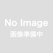 プレゼント用袋(熨斗あり)